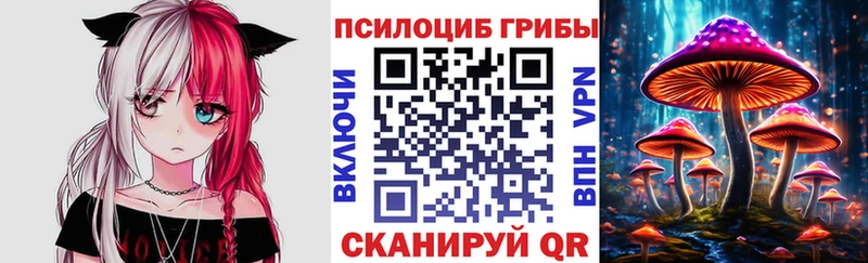 Псилоцибиновые грибы Cubensis  сколько стоит  Лакинск 